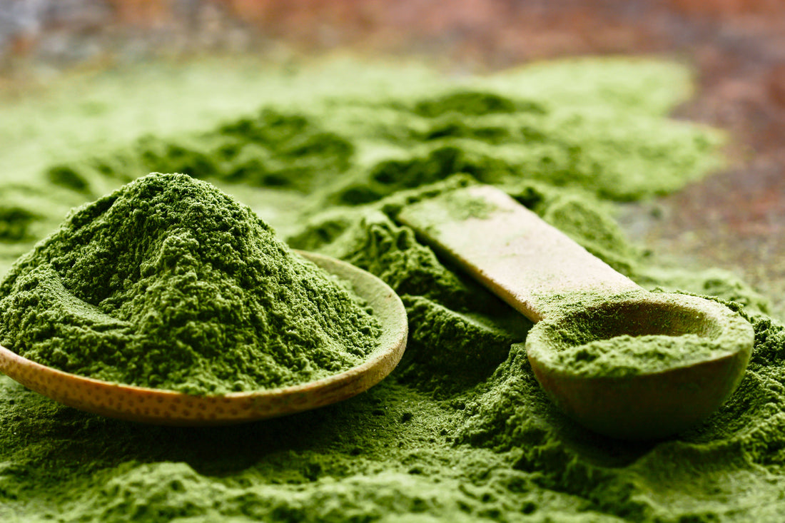 What is Matcha? Benefits, Uses & Why Everyone's Drinking It